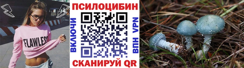 где купить наркоту Шумерля ОМГ ОМГ маркетплейс Псилоцибиновые грибы мухоморы